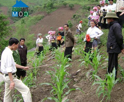 Hình ảnh Lâm Thượng, Lào Cai