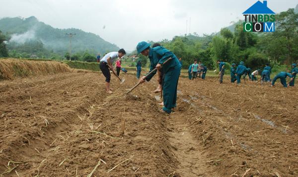 Hình ảnh Bảo Yên, Lào Cai