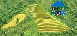 Hình ảnh Cao Sơn, Lào Cai