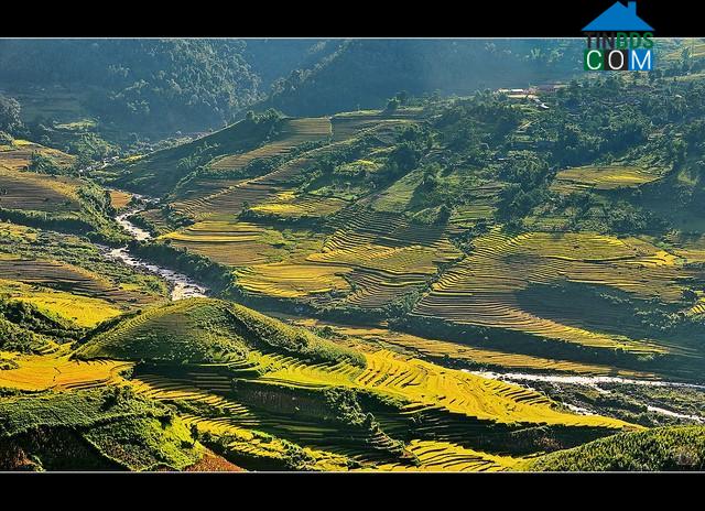 Hình ảnh Dền Sáng, Lào Cai