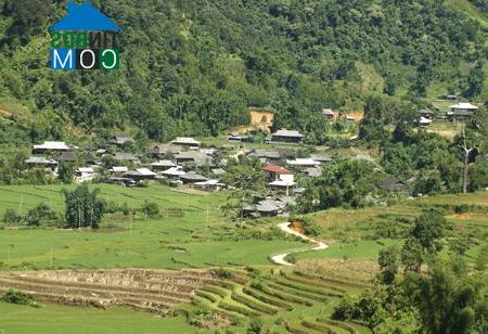 Hình ảnh Hạnh Phúc, Lào Cai