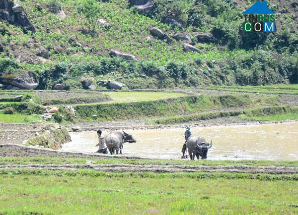 Hình ảnh Sín Chéng, Lào Cai