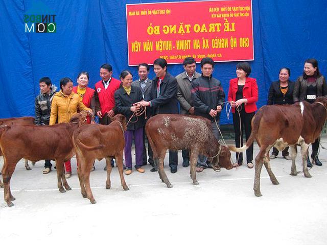 Hình ảnh Mậu A, Lào Cai