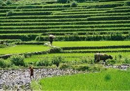 Hình ảnh Mường Hum, Lào Cai