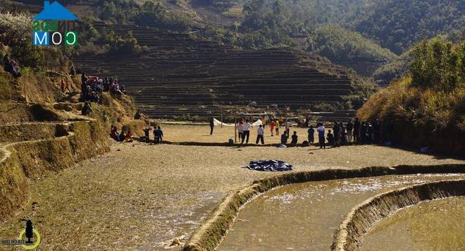 Hình ảnh Púng Luông, Lào Cai