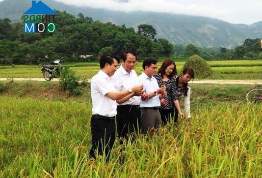 Hình ảnh Thác Bà, Lào Cai