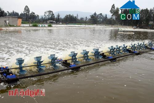 Hình ảnh An Châu, Nghệ An