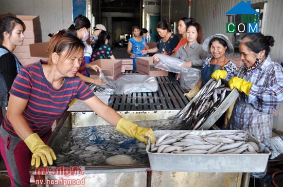 Hình ảnh Cửa Lò, Nghệ An