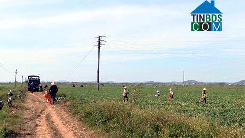 Hình ảnh Đức Châu, Nghệ An