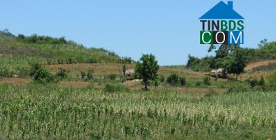 Hình ảnh Nghĩa Đàn, Nghệ An