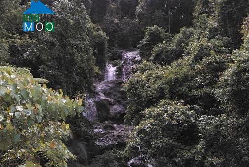 Hình ảnh Măng Ri, Quảng Ngãi