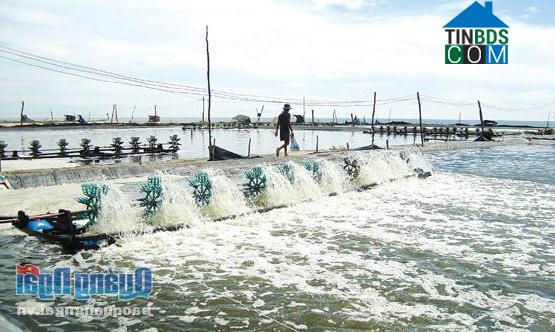 Hình ảnh Mỏ Cày, Quảng Ngãi