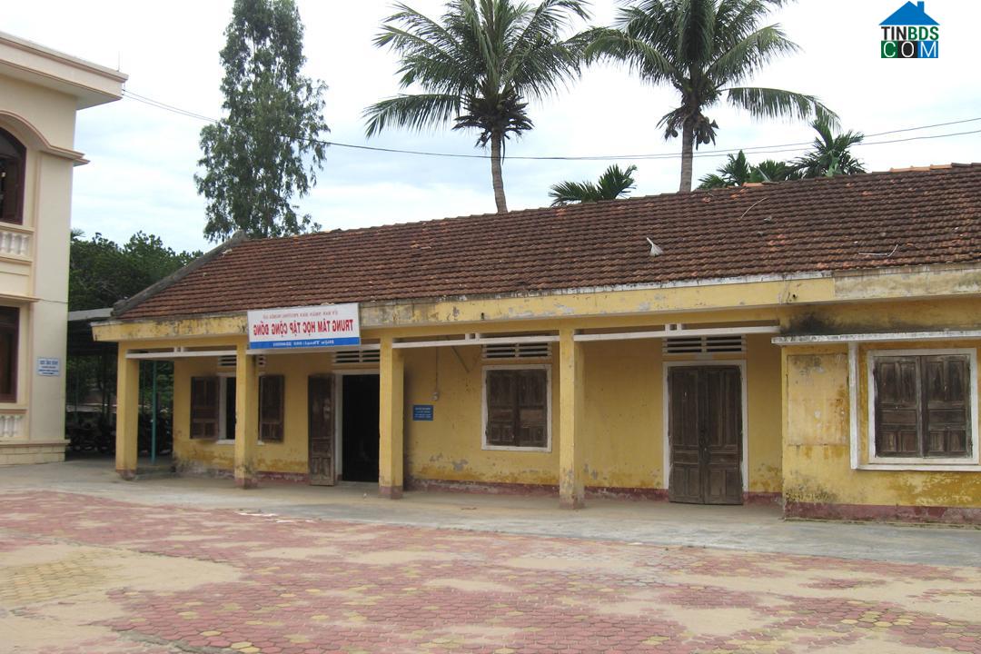 Hình ảnh Nghĩa Lộ, Quảng Ngãi