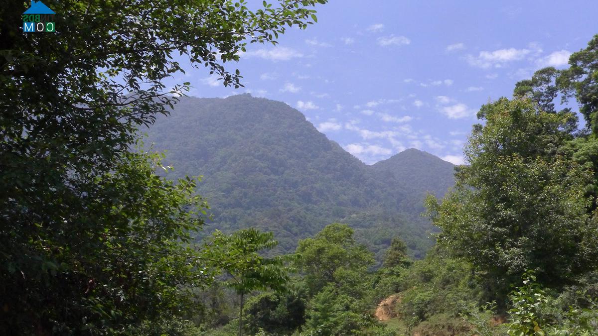 Hình ảnh Ngọc Linh, Quảng Ngãi