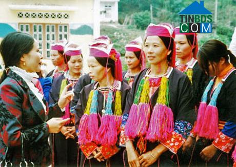 Hình ảnh Điền Xá, Quảng Ninh