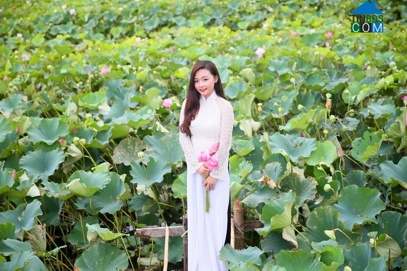 Hình ảnh Tuần Châu, Quảng Ninh