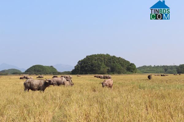 Hình ảnh Vân Đồn, Quảng Ninh