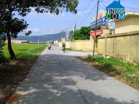 Hình ảnh Hoàng Quế, Quảng Ninh