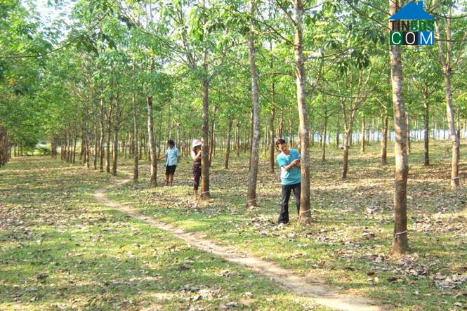 Hình ảnh Hoàn Lão, Quảng Trị