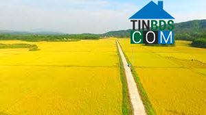 Hình ảnh Đầm Hà, Quảng Ninh