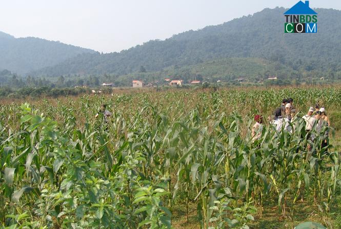 Hình ảnh Minh Hóa, Quảng Trị