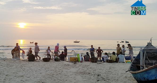 Hình ảnh Ninh Châu, Quảng Trị