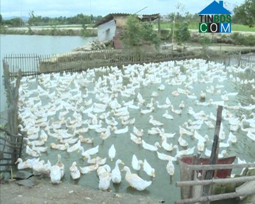 Hình ảnh Phú Trạch, Quảng Trị