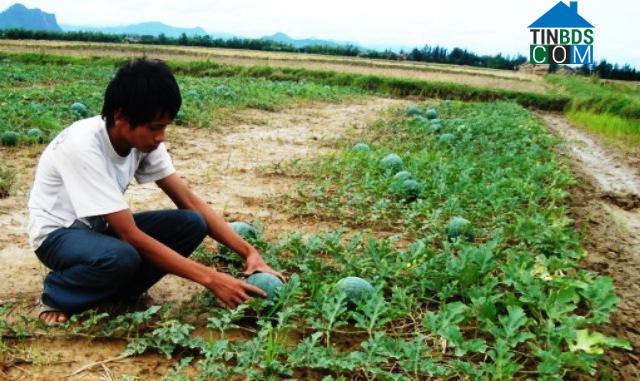 Hình ảnh Quảng Ninh, Quảng Trị