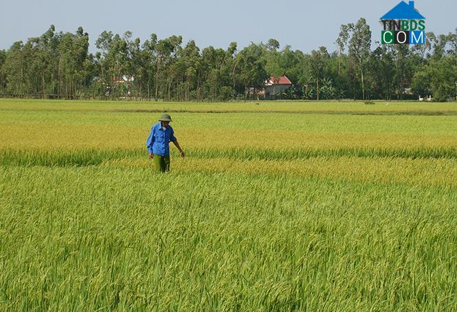 Hình ảnh Quảng Trạch, Quảng Trị