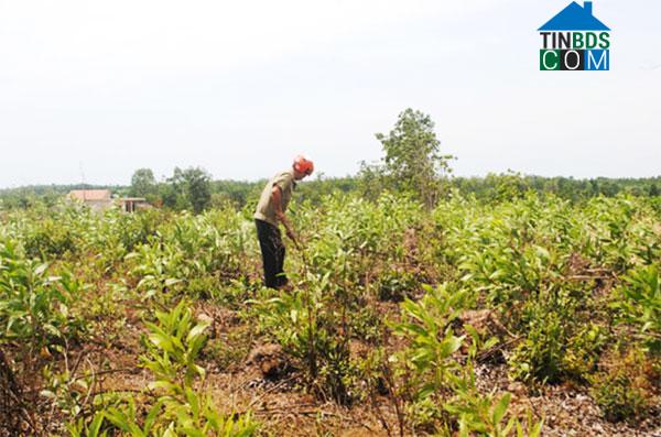 Hình ảnh Tân Mỹ, Quảng Trị