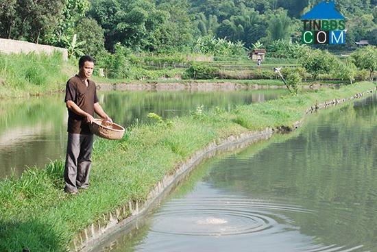 Hình ảnh Gia Phù, Sơn La