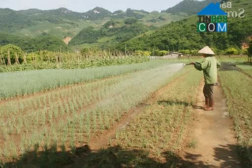 Hình ảnh Chiềng Hặc, Sơn La