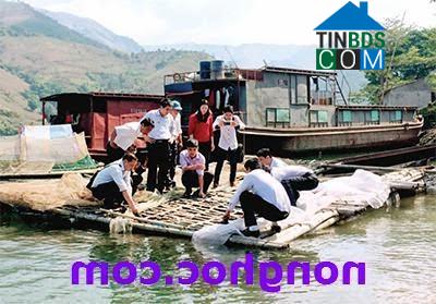 Hình ảnh Chiềng Hoa, Sơn La