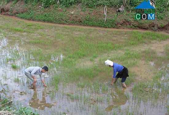 Hình ảnh Quỳnh Nhai, Sơn La