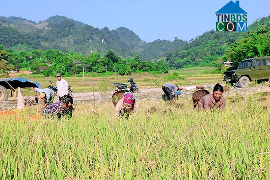 Hình ảnh Song Khủa, Sơn La