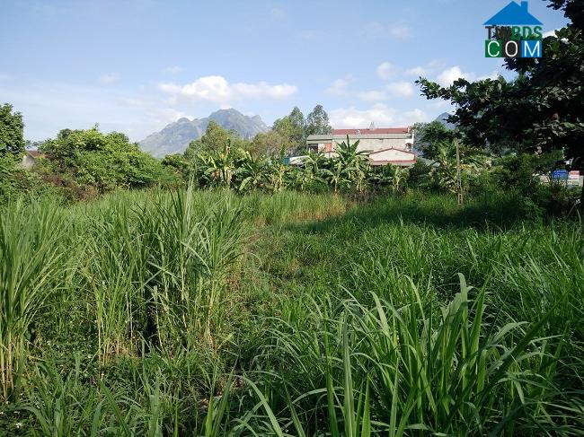 Hình ảnh Mường Bú, Sơn La