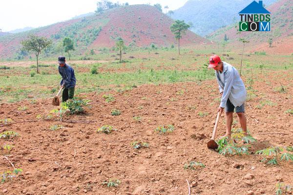 Hình ảnh Mường Khiêng, Sơn La