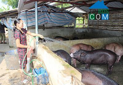 Hình ảnh Mường La, Sơn La