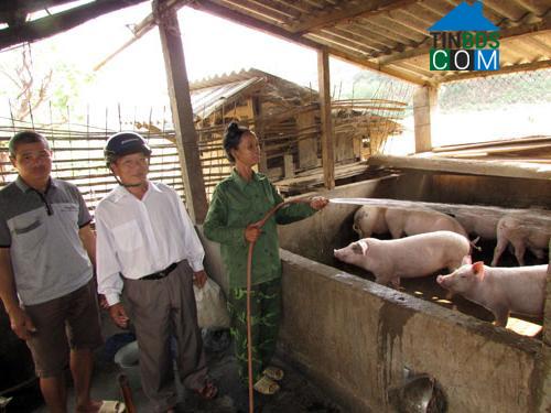 Hình ảnh Phù Yên, Sơn La