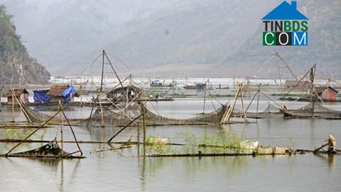 Hình ảnh Tường Hạ, Sơn La