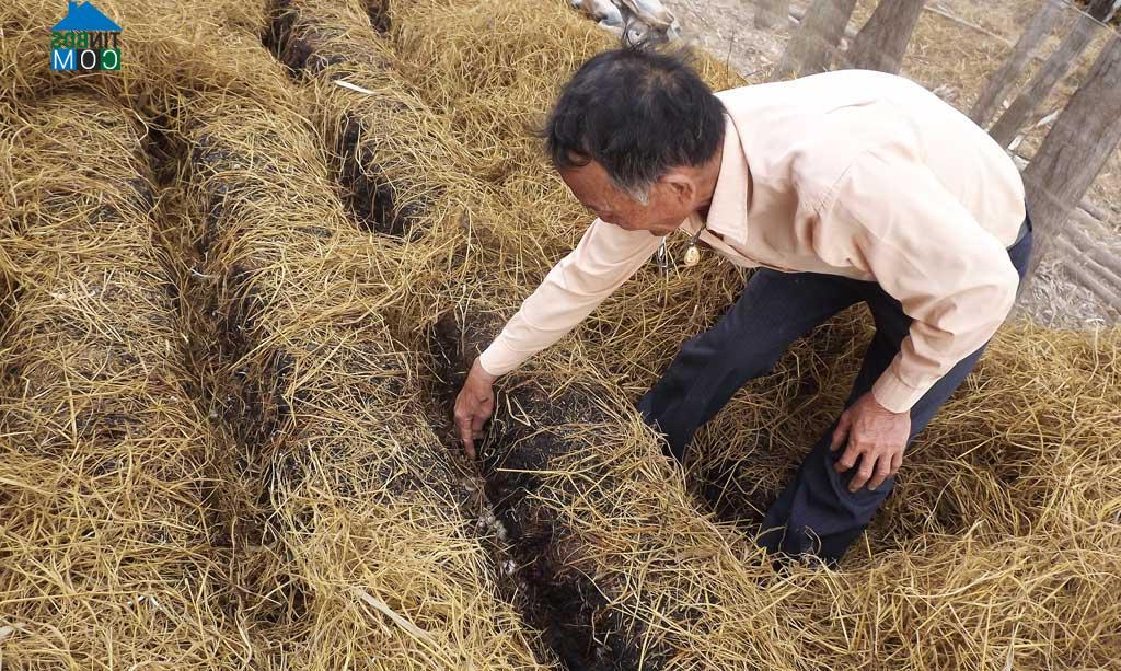 Hình ảnh Khánh Hưng, Tây Ninh