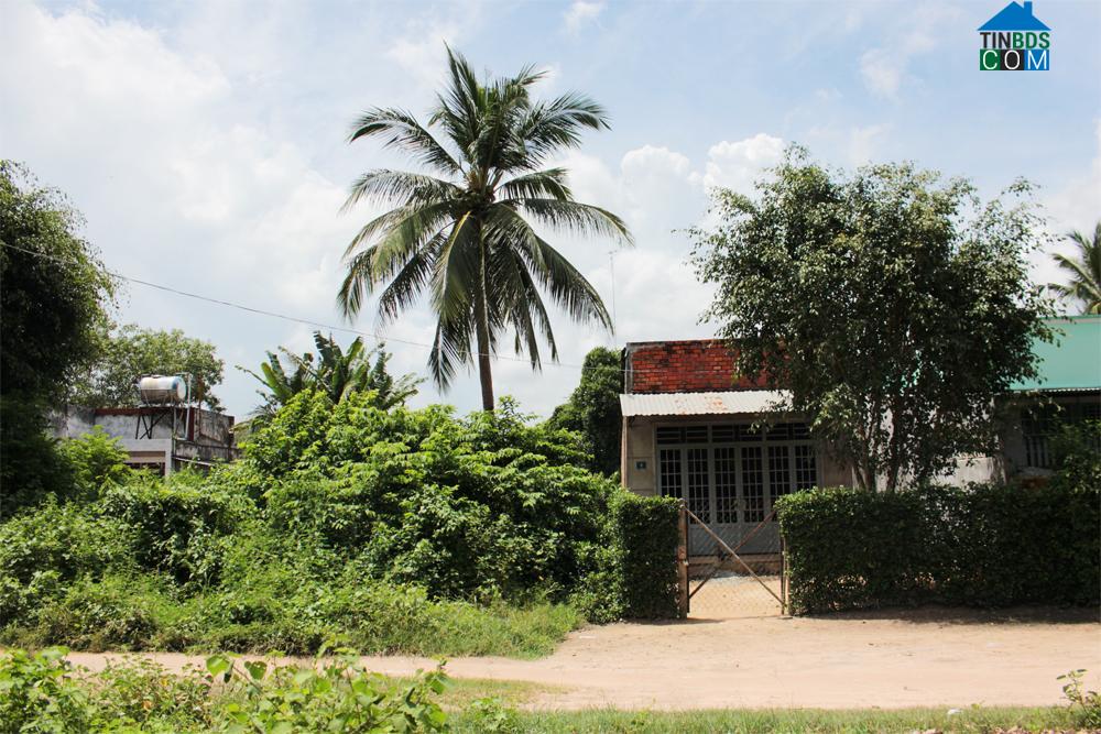 Hình ảnh Long Hoa, Tây Ninh