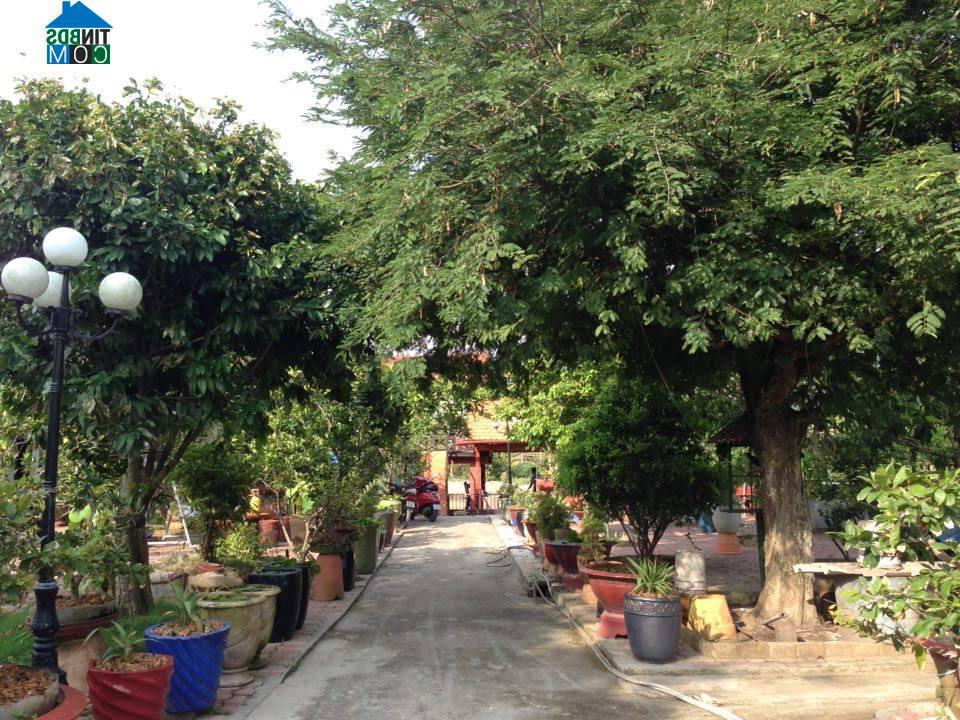 Hình ảnh Thủ Thừa, Tây Ninh