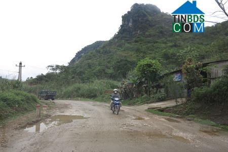 Hình ảnh Chợ Đồn, Thái Nguyên