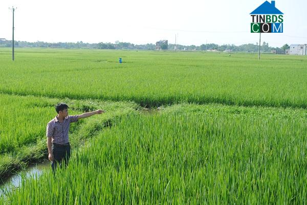 Hình ảnh Phú Bình, Thái Nguyên