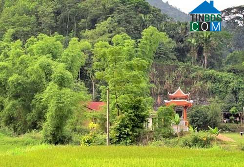 Hình ảnh Phú Đình, Thái Nguyên