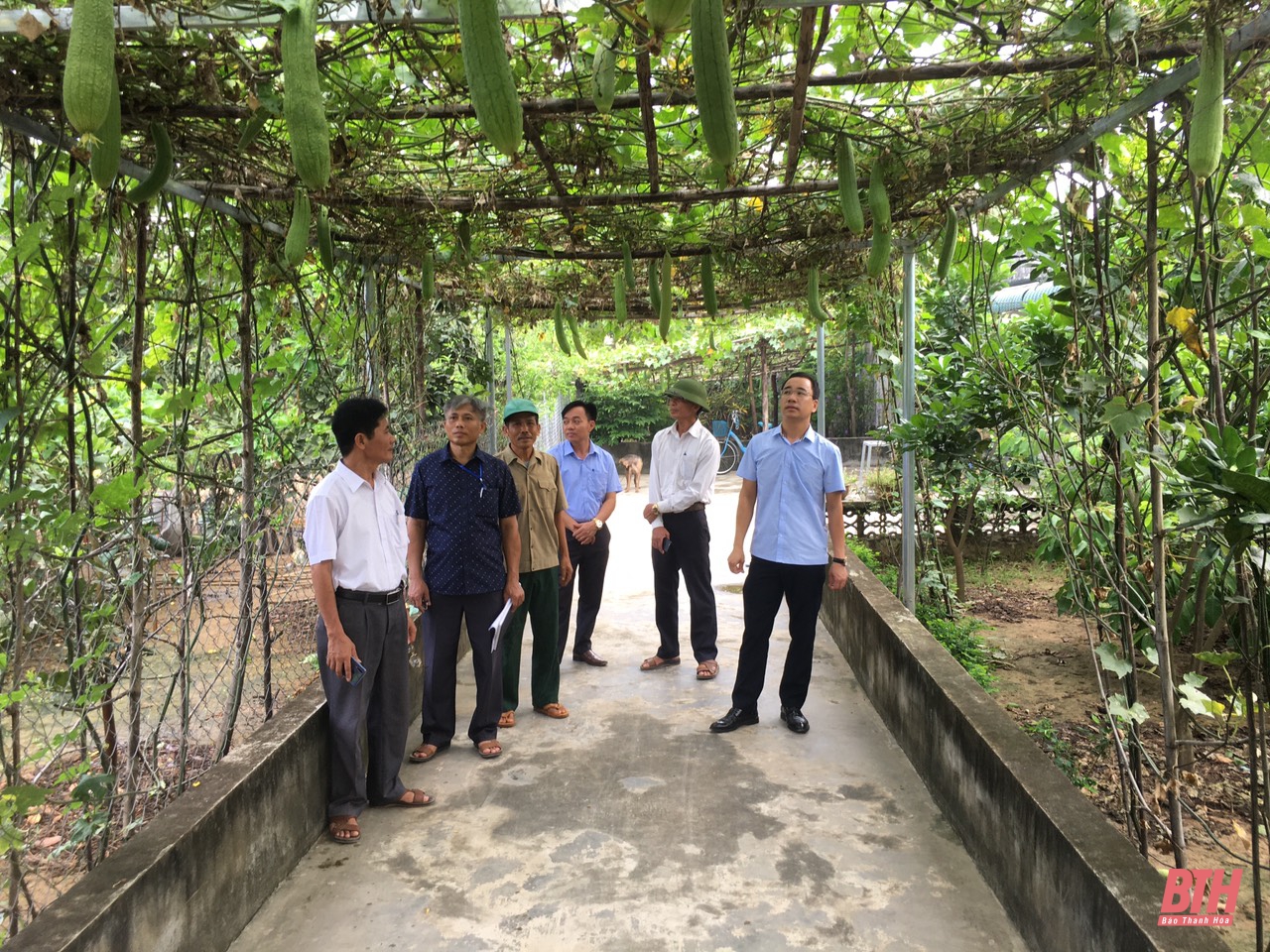 Hình ảnh Tiên Trang, Thanh Hóa