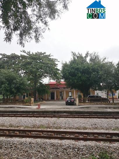 Hình ảnh Trúc Lâm, Thanh Hóa