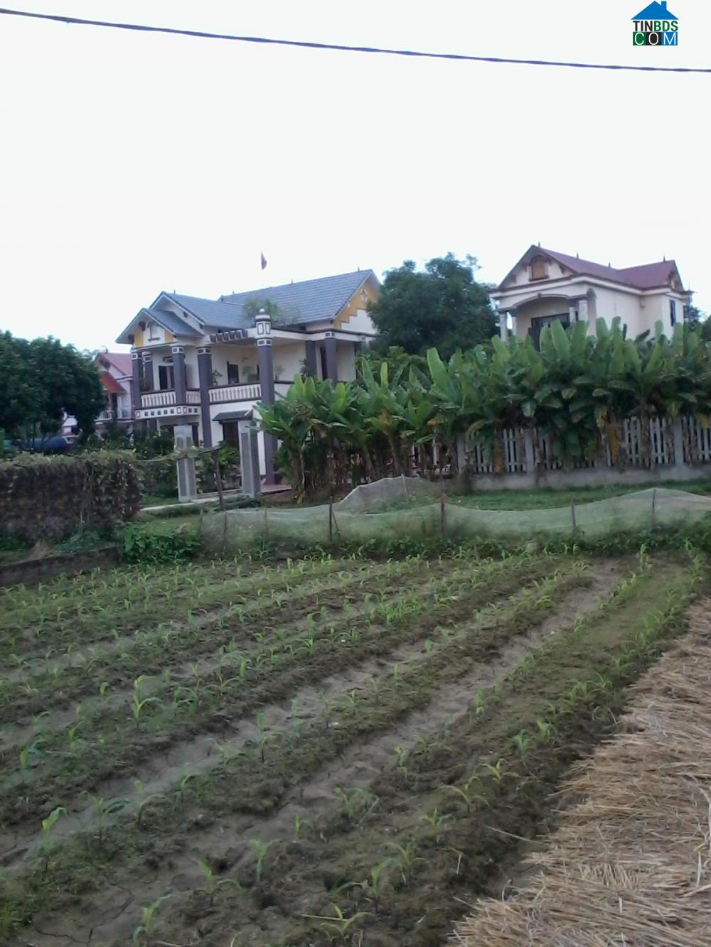 Hình ảnh Vạn Xuân, Thái Nguyên