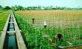 Hình ảnh Thọ Xuân, Thanh Hóa